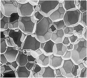 poliuretano de celda cerrada - vista microscópica